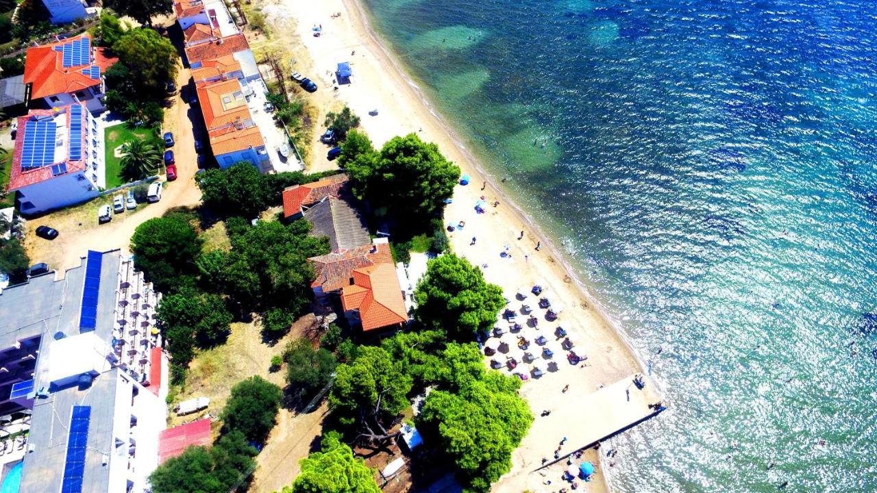 Golden Beach Hotel Metamorfosi  Eksteriør billede